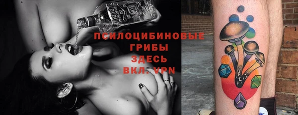 а пвп мука Бородино