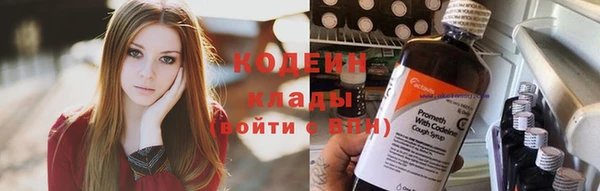 хмурый Инсар